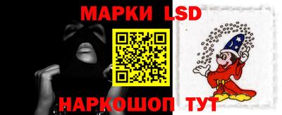 тгк Кингисепп