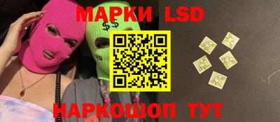тгк Кингисепп