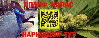 тгк Кингисепп
