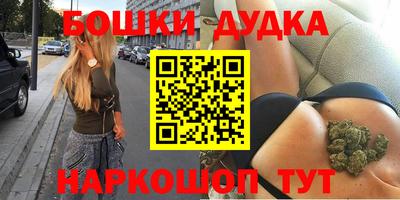 тгк Кингисепп