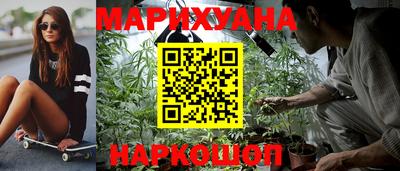 тгк Кингисепп