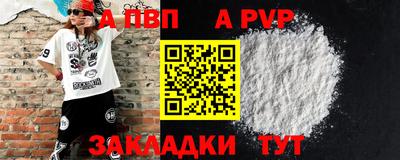 тгк Кингисепп