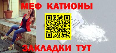 тгк Кингисепп