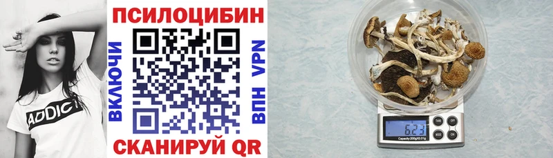 Псилоцибиновые грибы Magic Shrooms  Кировск 