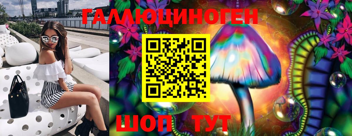Галлюциногенные грибы Psilocybe  Вход с VPN  Кировск 